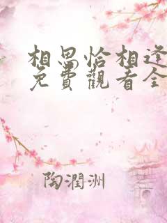 相思恰相逢短剧免费观看全集高清