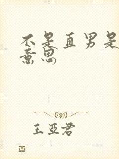 不是直男是什么意思