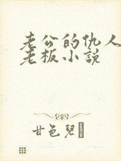 老公的仇人是我老板小说