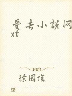 爱去小说网站txt