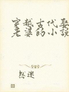 穿越古代娶很多老婆的小说