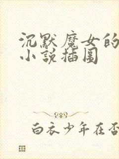 沉默魔女的秘密小说插图