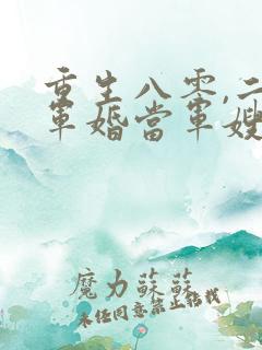 重生八零,二嫁军婚当军嫂
