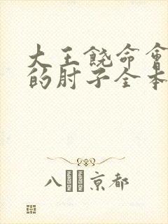 大王饶命会说话的肘子全本下载