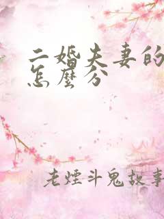 二婚夫妻的财产怎么分