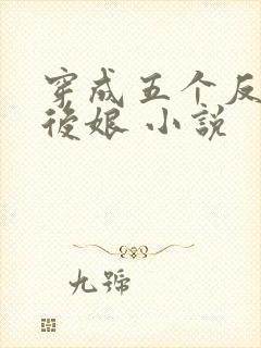 穿成五个反派的后娘 小说