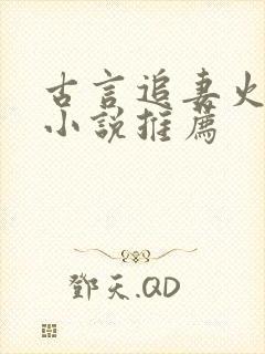 古言追妻火葬场小说推荐