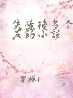 失忆后多个前男友的小说