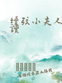 续弦小夫人 阅读