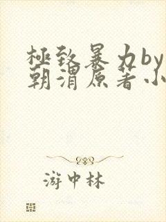 极致暴力by周朝渭原著小说