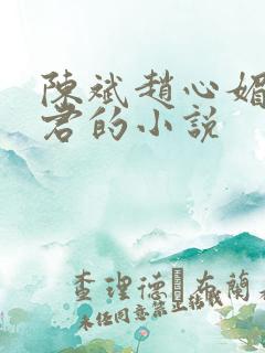 陈斌赵心媚高婉君的小说