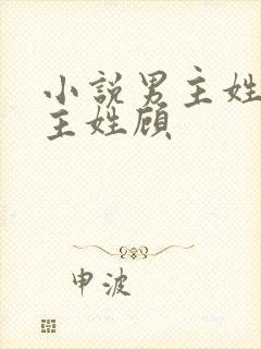 小说男主姓陆女主姓顾