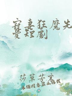 宠妻狂魔先婚后爱短剧