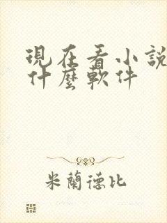 现在看小说都用什么软件