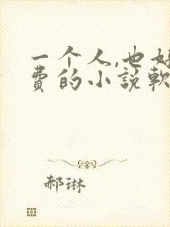 一个人,也好免费的小说软件有哪些