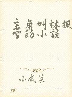 主角叫林枫苏晴雪的小说