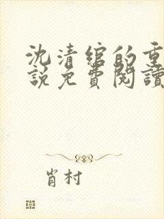 沈清绾的重生小说免费阅读