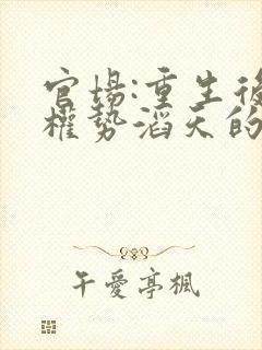 官场:重生后我权势滔天的小说