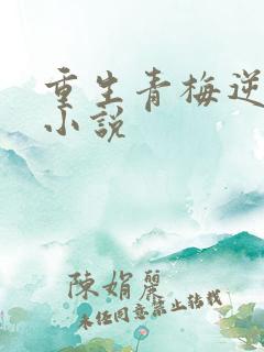 重生青梅逆袭记小说