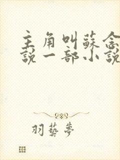 主角叫苏念的小说一部小说