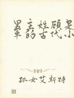 男主姓顾是个将军的古代小说