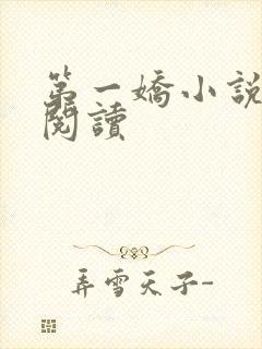 第一娇小说免费阅读