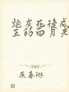 炮灰死后成了女主的白月光