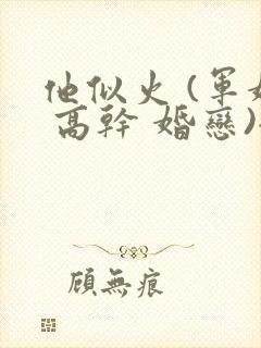 他似火 (军婚 高干 婚恋)全文在线阅读