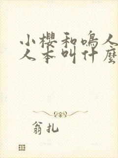 小樱和鸣人的同人本叫什么