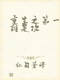 重生之第一秘书谁是攻