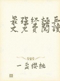 最强终极兵王全文免费阅读