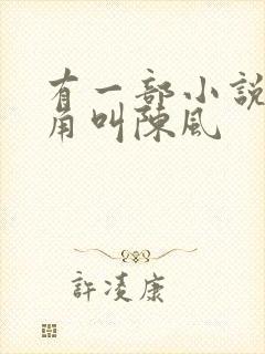 有一部小说男主角叫陈风