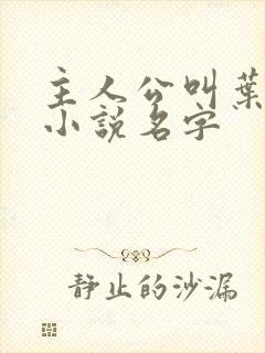 主人公叫叶凡的小说名字