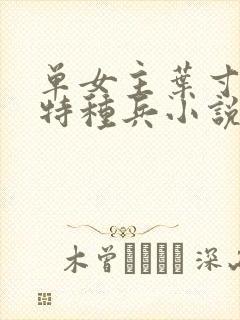 单女主叶寸心的特种兵小说