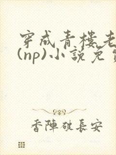 穿成青楼老鸨后(np)小说免费阅读