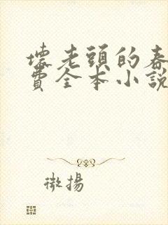 坏老头的春天免费全本小说