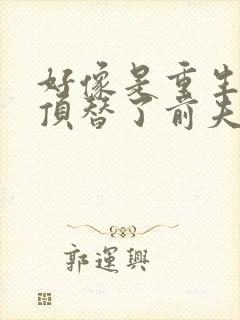 好像是重生后我顶替了前夫白月光