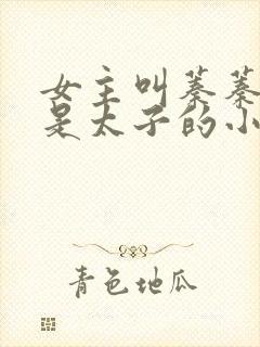 女主叫蓁蓁男主是太子的小说