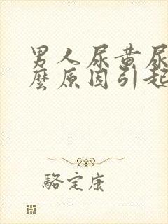 男人尿黄尿是什么原因引起的