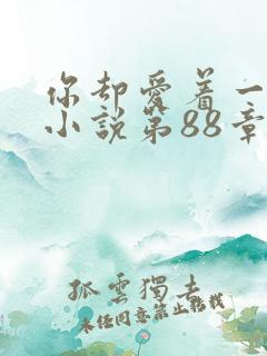 你却爱着一个他小说第88章