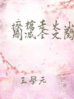 擦枪走火小说无删减全文阅读