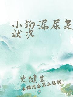 小狗漏尿是什么状况