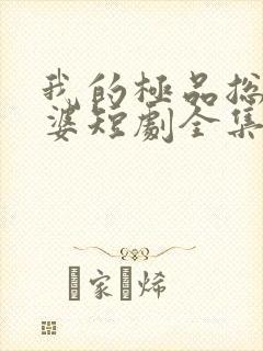 我的极品总裁老婆短剧全集免费下载