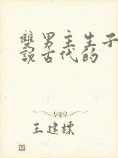 双男主生子文小说古代的