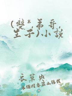 (双*,弟哥,生子)小说