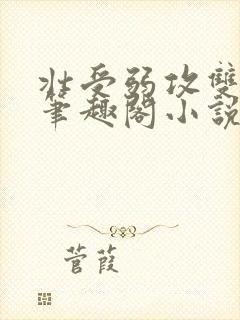 壮受弱攻双男主笔趣阁小说