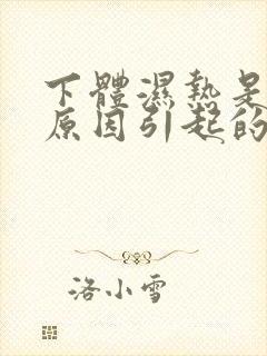 下体湿热是什么原因引起的