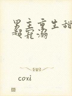 男主重生甜宠文超宠溺