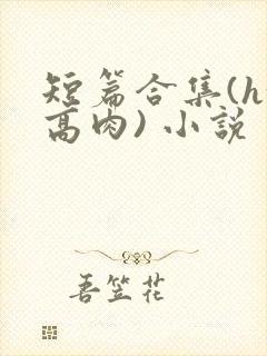 短篇合集(h+高肉) 小说