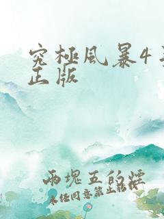 究极风暴4手机正版